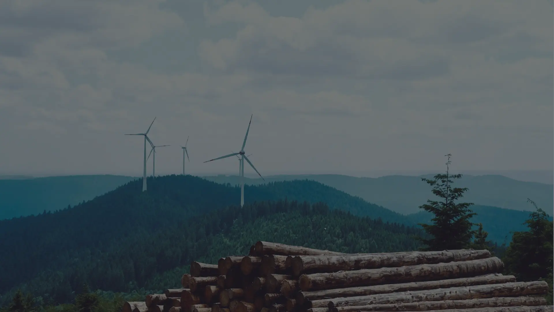 Hållbarhetsrapportering SME